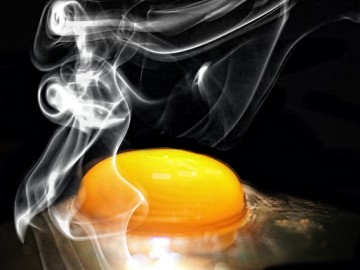 우리 몸에 꼭 필요한 콜레스테롤, 무엇이 문제인가?