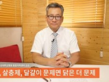 달걀, 살충제, 달걀이 문제면 닭은 더 문제