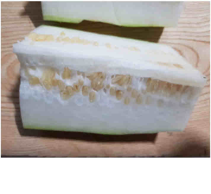 %ed%8f%ac%eb%a7%b7%eb%b3%80%ed%99%98_14