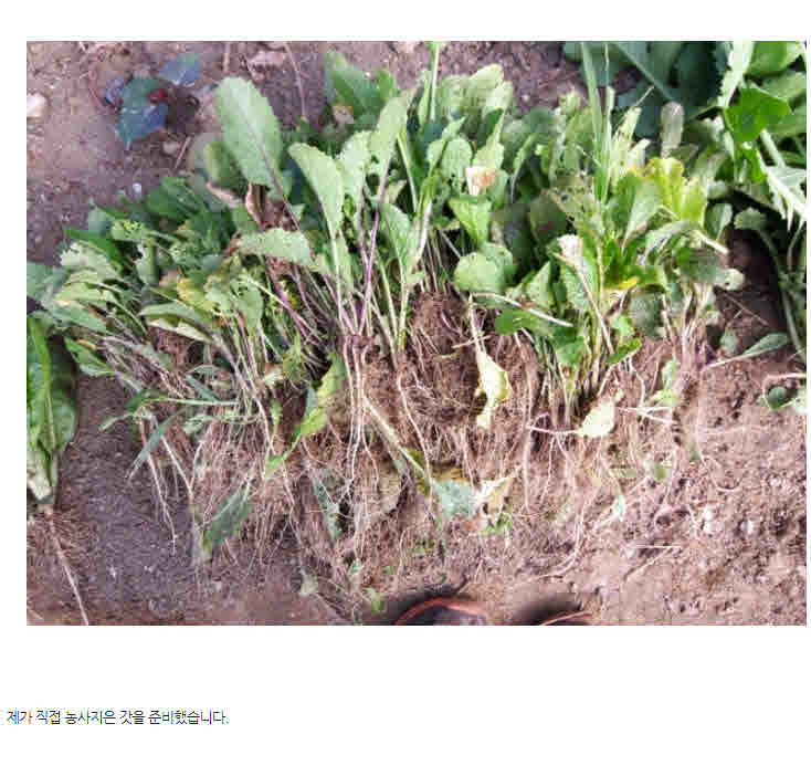 %ed%8f%ac%eb%a7%b7%eb%b3%80%ed%99%98_18