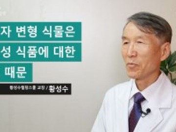 유전자 변형 식물은 동물성식품에 대한 욕심 때문