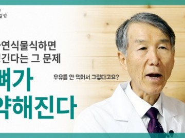 자연식물식을 하면 뼈가 약해진다는 또 그 얘기