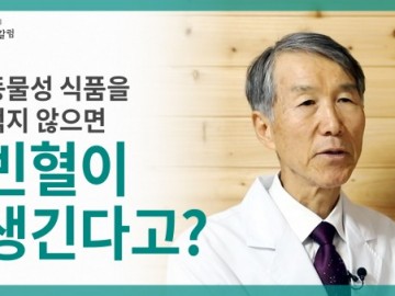 동물성 식품을 먹지 않으면 빈혈이 생긴다