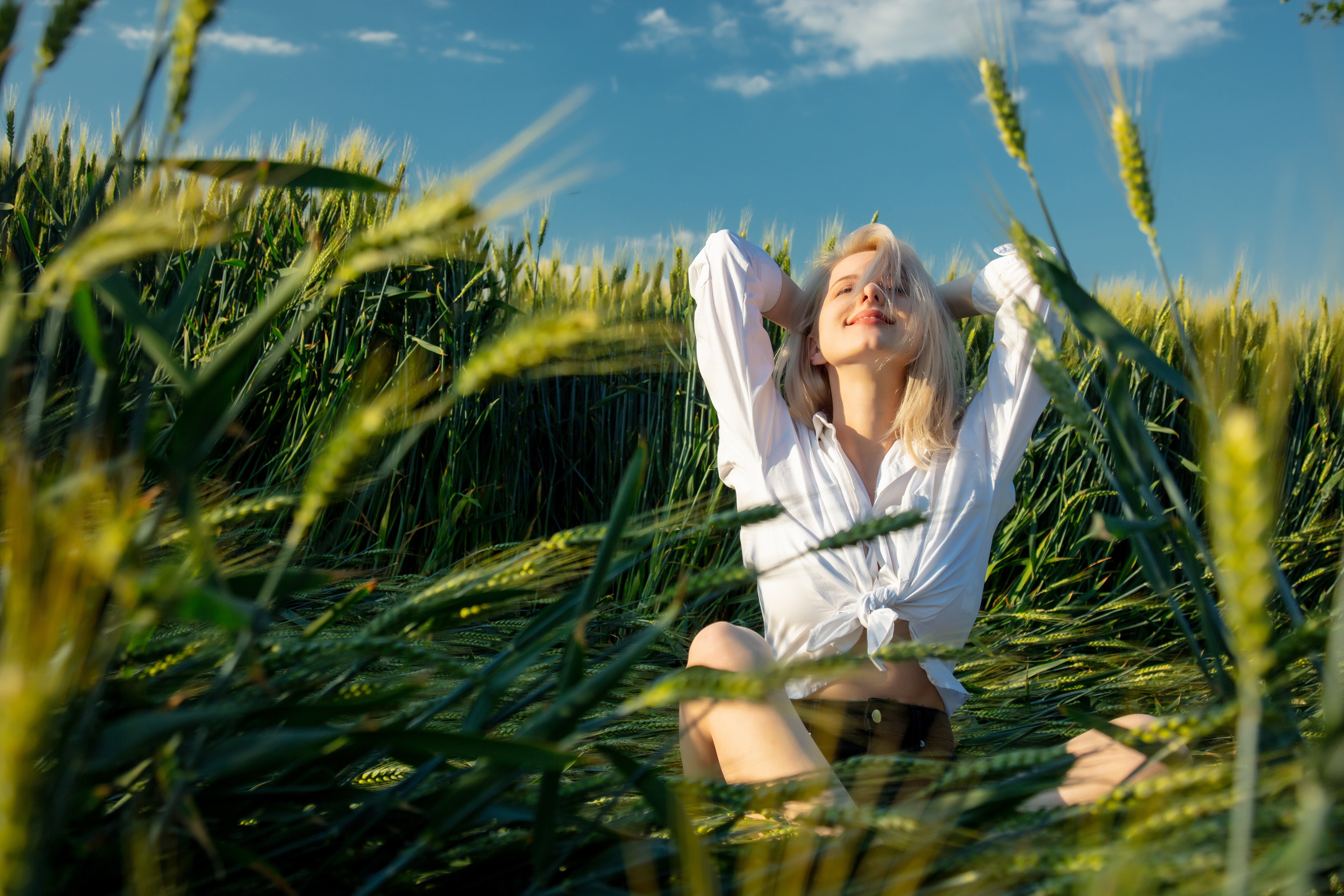 beautiful blonde girl in a white shirt sits between wheat ears in field during sunset
