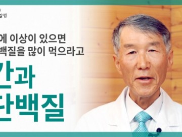 간에 이상이 있으면 단백질을 많이 먹어야 한다는데