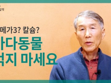 바다동물 먹지 마세요 – 오메가3, 칼슘 섭취에 대하여