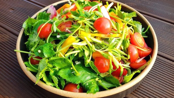 kakaotalk_20190411_094018779-e1554945902283-600x338-bct4designer-thumb1