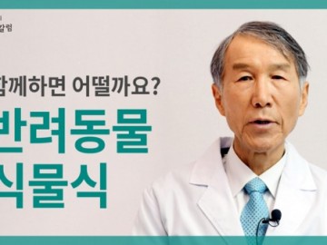 건강을 지키는 식물식, 반려견, 반려묘와 함께 하세요
