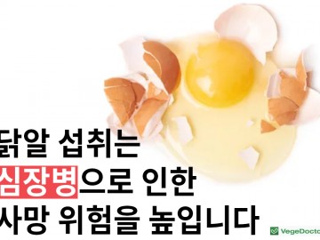 닭알 섭취는 심장병으로 인한 사망위험을 높입니다