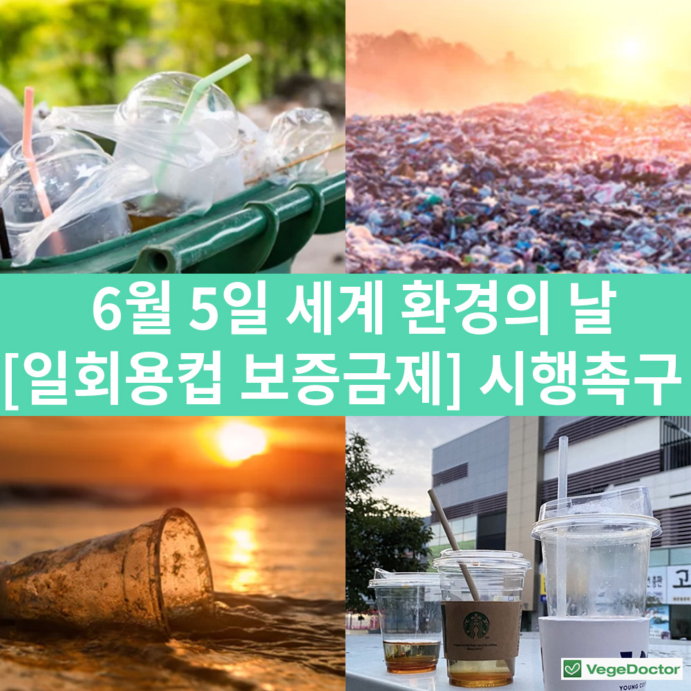 %ec%9d%bc%ed%9a%8c%ec%9a%a9%ec%bb%b5%eb%b3%b4%ec%a6%9d%ea%b8%88%ec%a0%9c1