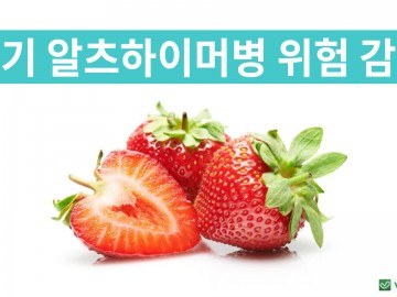 딸기 알츠하이머병 위험 감소
